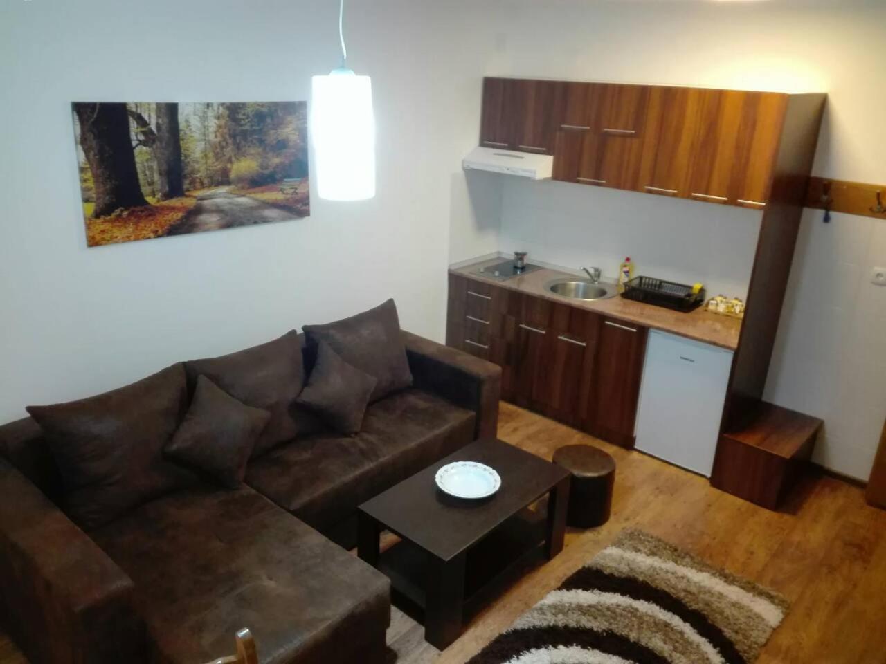 Vila Natasa Копаоник Экстерьер фото